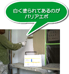 白く塗られてあるのがバリアエポ